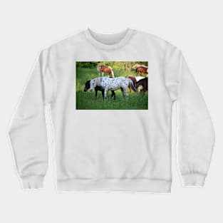 Spotted horse Crewneck Sweatshirt